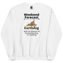 Load image into Gallery viewer, Earthdog Weekend Forecast Sweatshirts - Light