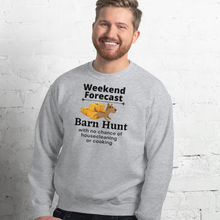 Load image into Gallery viewer, Barn Hunt Weekend Forecast Sweatshirts - Light