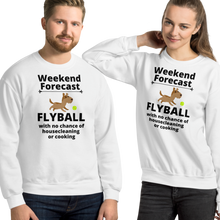Load image into Gallery viewer, Flyball Weekend Forecast Sweatshirts - Light