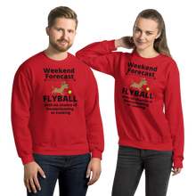 Load image into Gallery viewer, Flyball Weekend Forecast Sweatshirts - Light