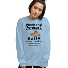 Load image into Gallery viewer, Rally Weekend Forecast Sweatshirts - Light