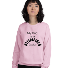 Load image into Gallery viewer, Tunnel Sucker Sweatshirts - Light