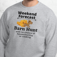Load image into Gallery viewer, Barn Hunt Weekend Forecast Sweatshirts - Light