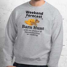 Load image into Gallery viewer, Barn Hunt Weekend Forecast Sweatshirts - Light