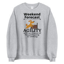 Load image into Gallery viewer, Agility Weekend Forecast Sweatshirts - Light