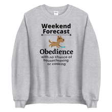 Load image into Gallery viewer, Obedience Weekend Forecast Sweatshirts - Light