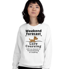 Load image into Gallery viewer, Lure Coursing Weekend Forecast Sweatshirts - Light