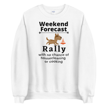 Load image into Gallery viewer, Rally Weekend Forecast Sweatshirts - Light