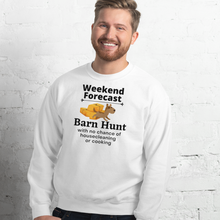 Load image into Gallery viewer, Barn Hunt Weekend Forecast Sweatshirts - Light