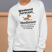 Load image into Gallery viewer, Obedience Weekend Forecast Sweatshirts - Light