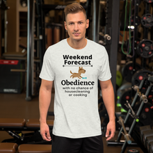 Load image into Gallery viewer, Obedience Weekend Forecast T-Shirts - Light