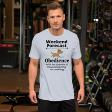 Load image into Gallery viewer, Obedience Weekend Forecast T-Shirts - Light