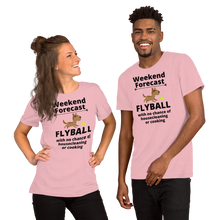 Load image into Gallery viewer, Flyball Weekend Forecast T-Shirts - Light