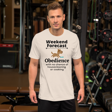 Load image into Gallery viewer, Obedience Weekend Forecast T-Shirts - Light