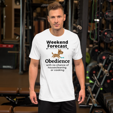 Load image into Gallery viewer, Obedience Weekend Forecast T-Shirts - Light