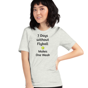 7 Days Without Flyball T-Shirts - Light