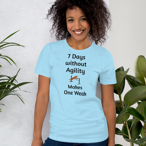 7 Days Without Agility T-Shirts - Light