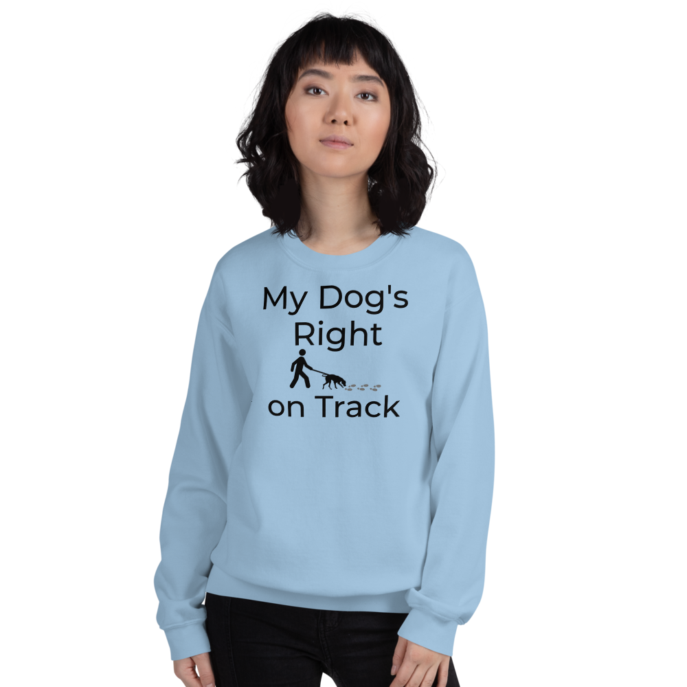 Right on Track Sweatshirts - Light