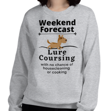 Load image into Gallery viewer, Lure Coursing Weekend Forecast Sweatshirts - Light
