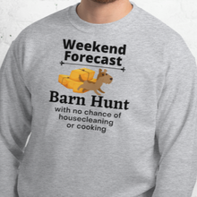 Load image into Gallery viewer, Barn Hunt Weekend Forecast Sweatshirts - Light
