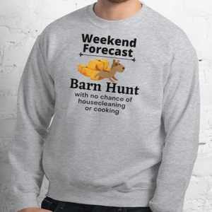 Barn Hunt Weekend Forecast Sweatshirts - Light