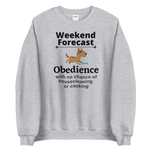 Load image into Gallery viewer, Obedience Weekend Forecast Sweatshirts - Light
