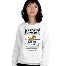 Load image into Gallery viewer, Lure Coursing Weekend Forecast Sweatshirts - Light
