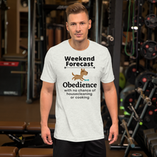 Load image into Gallery viewer, Obedience Weekend Forecast T-Shirts - Light
