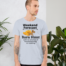 Load image into Gallery viewer, Barn Hunt Weekend Forecast T-Shirts - Light
