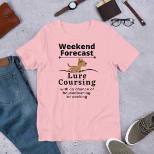 Lure Coursing Weekend Forecast T-Shirts - Light