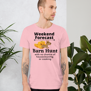 Barn Hunt Weekend Forecast T-Shirts - Light