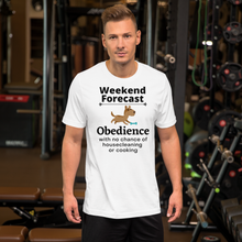 Load image into Gallery viewer, Obedience Weekend Forecast T-Shirts - Light
