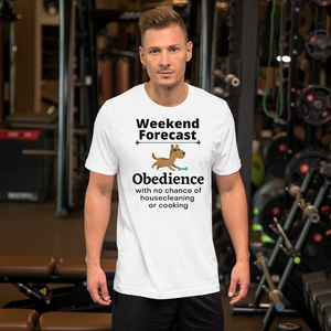 Obedience Weekend Forecast T-Shirts - Light